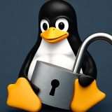 Linux 6.18 disattiva la crittografia TPM per maggiori prestazioni