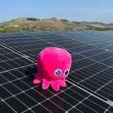 Scegli la tua energia: blocca il prezzo con Octopus