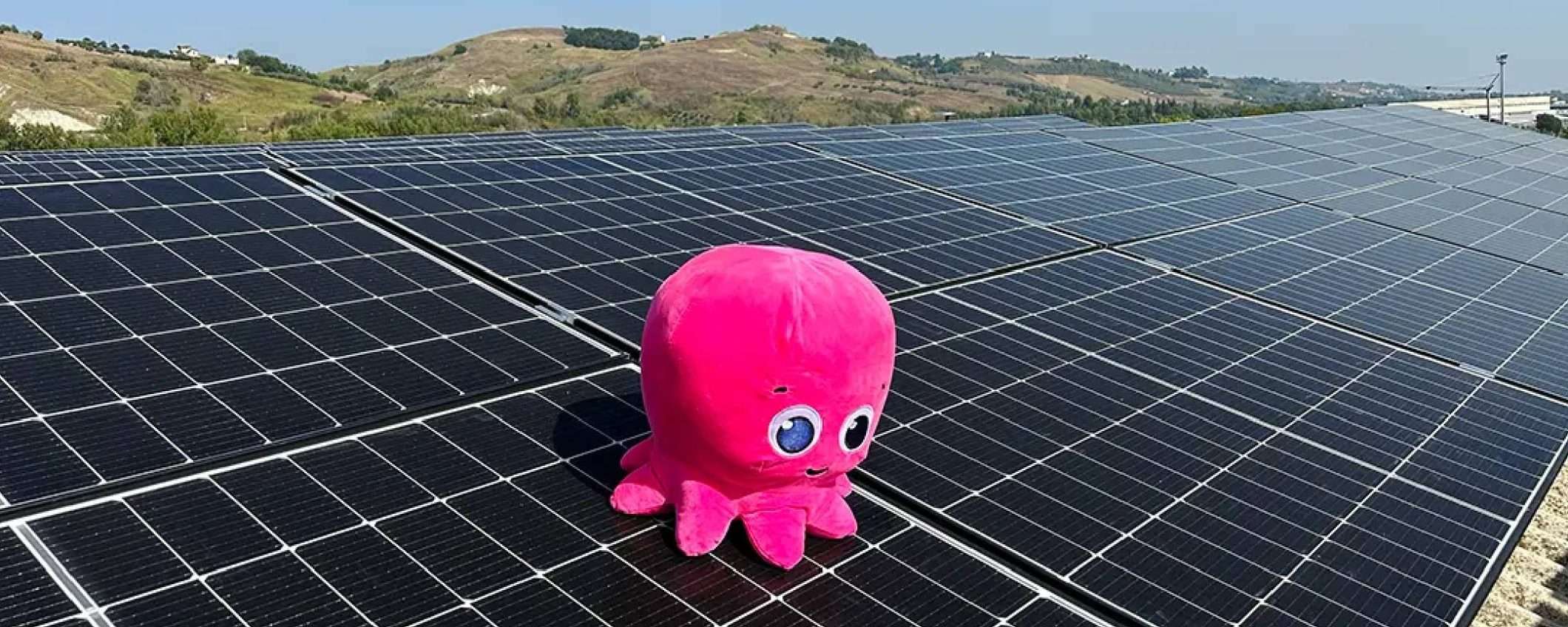 Scegli la tua energia: blocca il prezzo con Octopus