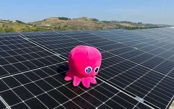 Scegli la tua energia: blocca il prezzo con Octopus