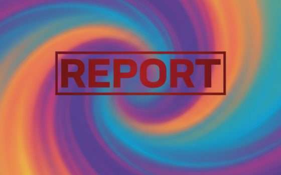 Garante Privacy vs Report: scontro politico