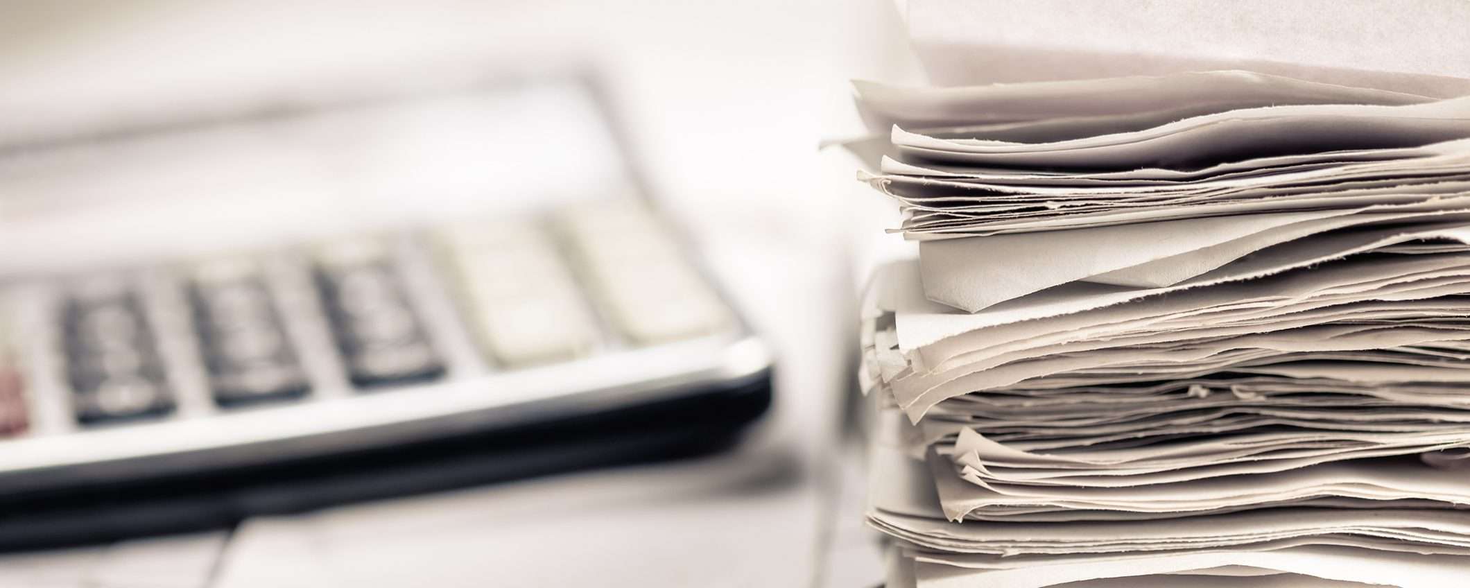 Un anno di luce e gas a prezzo fisso: con Octpus Energy la bolletta è leggera