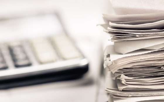 Un anno di luce e gas a prezzo fisso: con Octpus Energy la bolletta è leggera