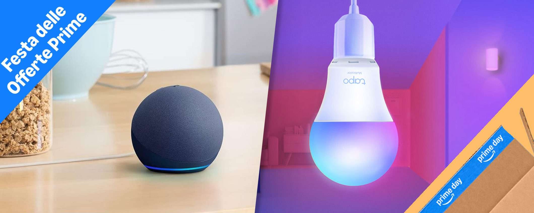 Festa Prime: risparmia sul bundle con Echo Dot e Tapo L530EA