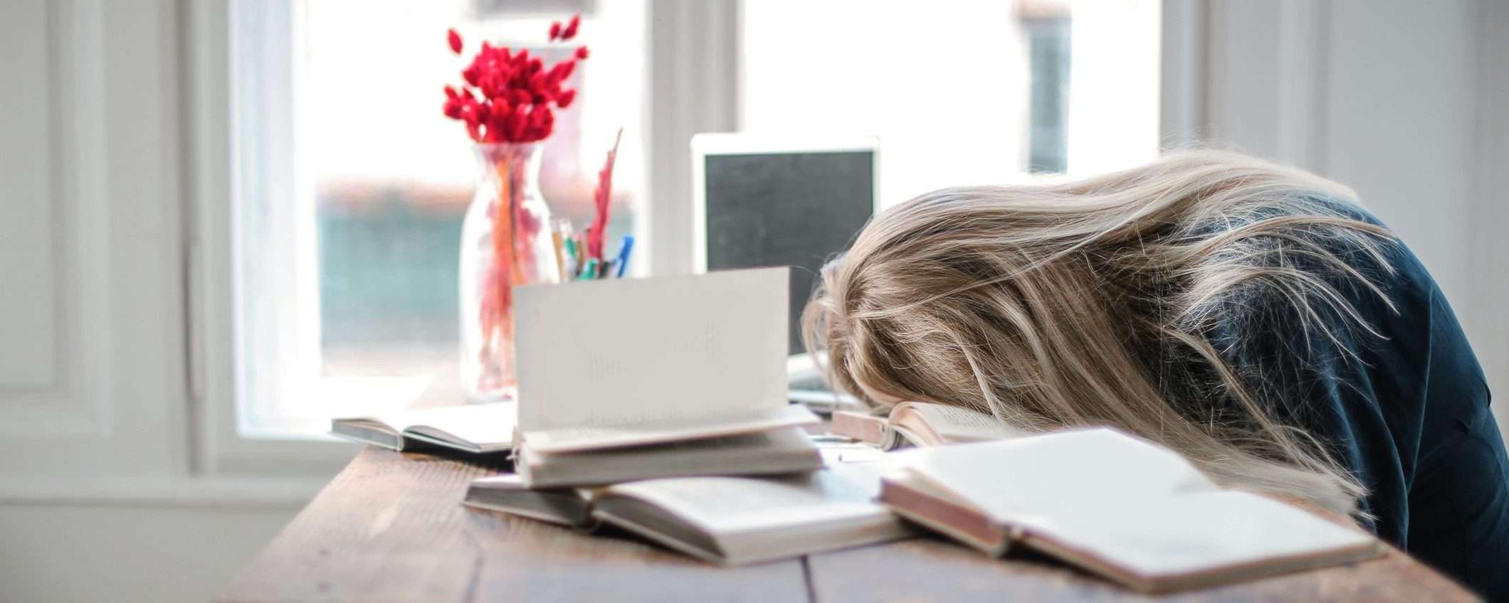 Gemini genera flashcard e quiz per gli studenti: come funziona