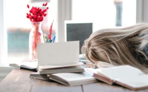 Gemini genera flashcard e quiz per gli studenti: come funziona