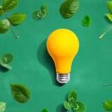 Non temere più le bollette alte: Octopus Energy blocca i prezzi per 12 mesi