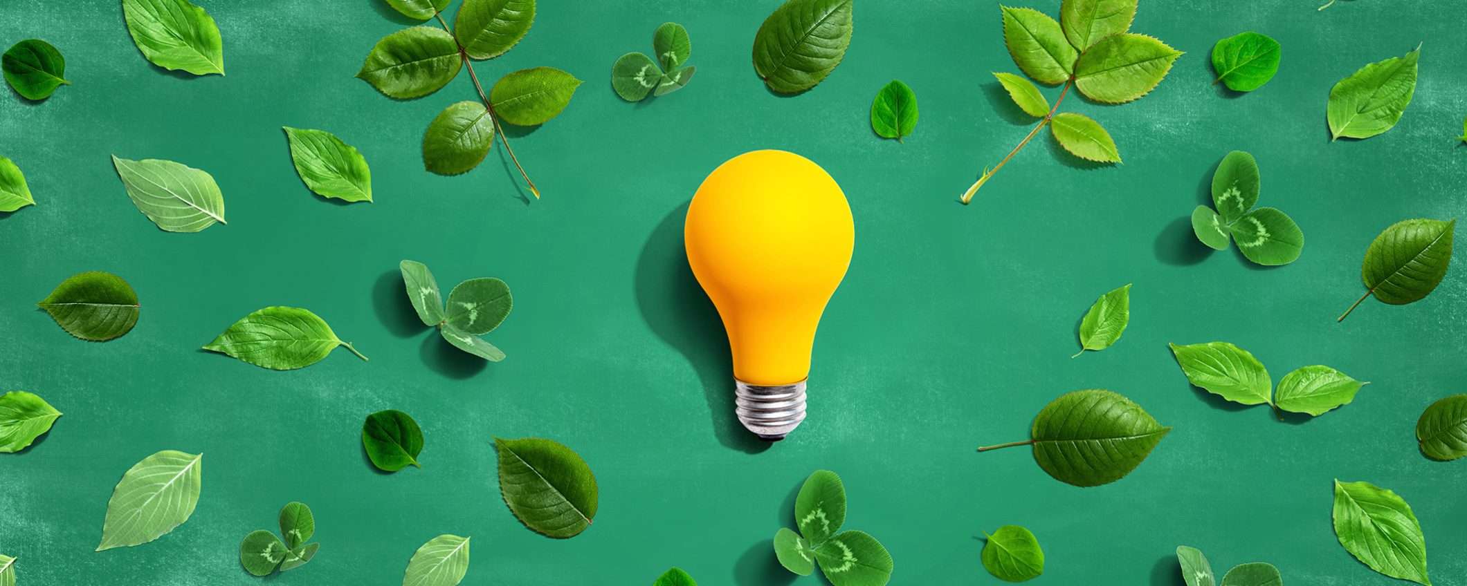 Non temere più le bollette alte: Octopus Energy blocca i prezzi per 12 mesi