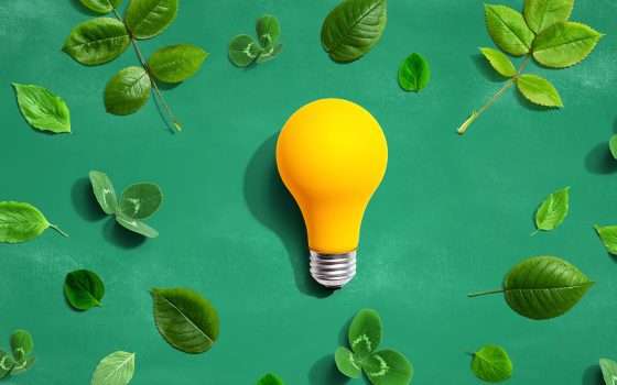 Non temere più le bollette alte: Octopus Energy blocca i prezzi per 12 mesi