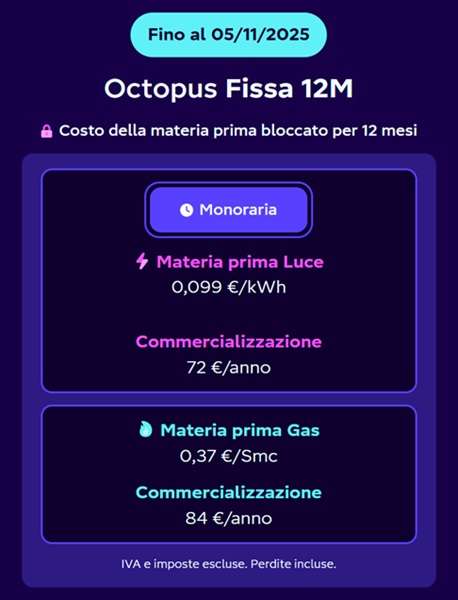 octopus fissa 12 mesi 5 novembre