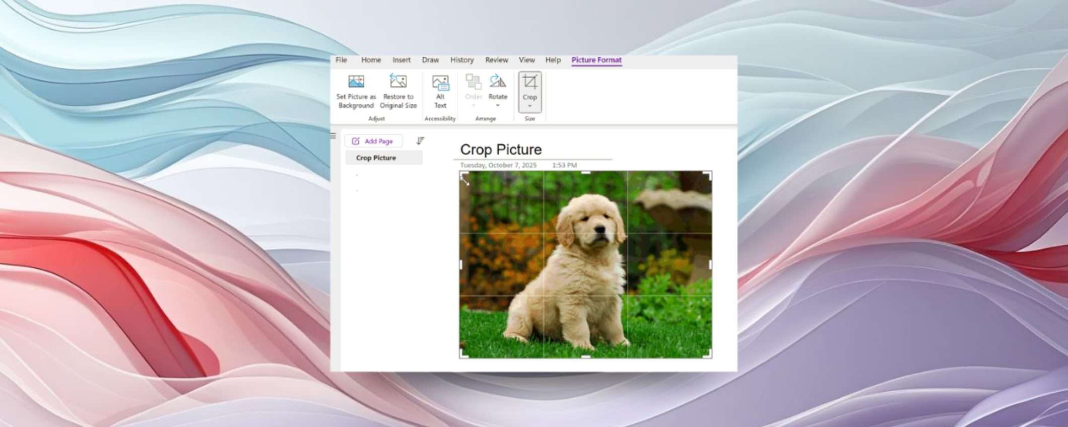 OneNote su Windows ora ritaglia le immagini