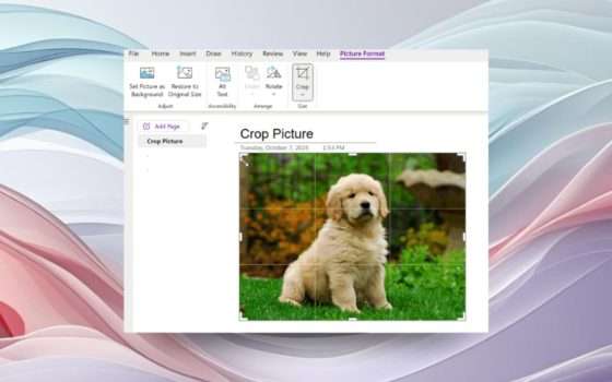 OneNote su Windows ora ritaglia le immagini