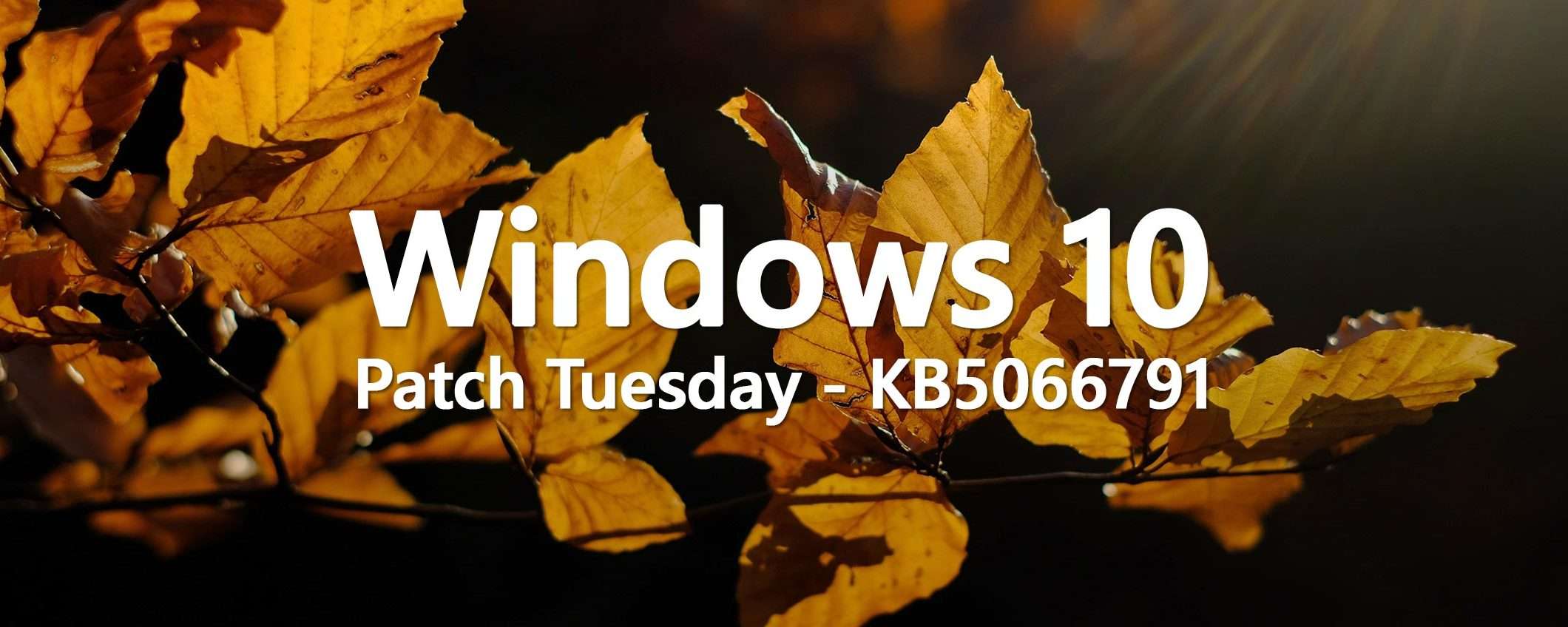 Windows 10, l'ultimo Patch Tuesday: KB5066791 in download