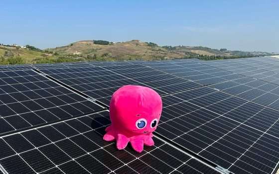 Scopri il mondo Octopus: energia rinnovabile e massimo risparmio