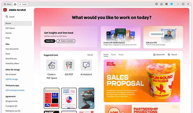 L'interfaccia di Acrobat Studio