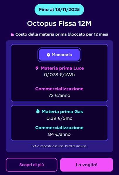 octopus fissa 12 mesi fino al 18 novembre