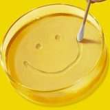 Pluribus è una serie fatta dagli umani, niente AI