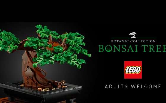 Rendi casa bellissima con il LEGO Botanicals Albero Bonsai in offerta su Amazon