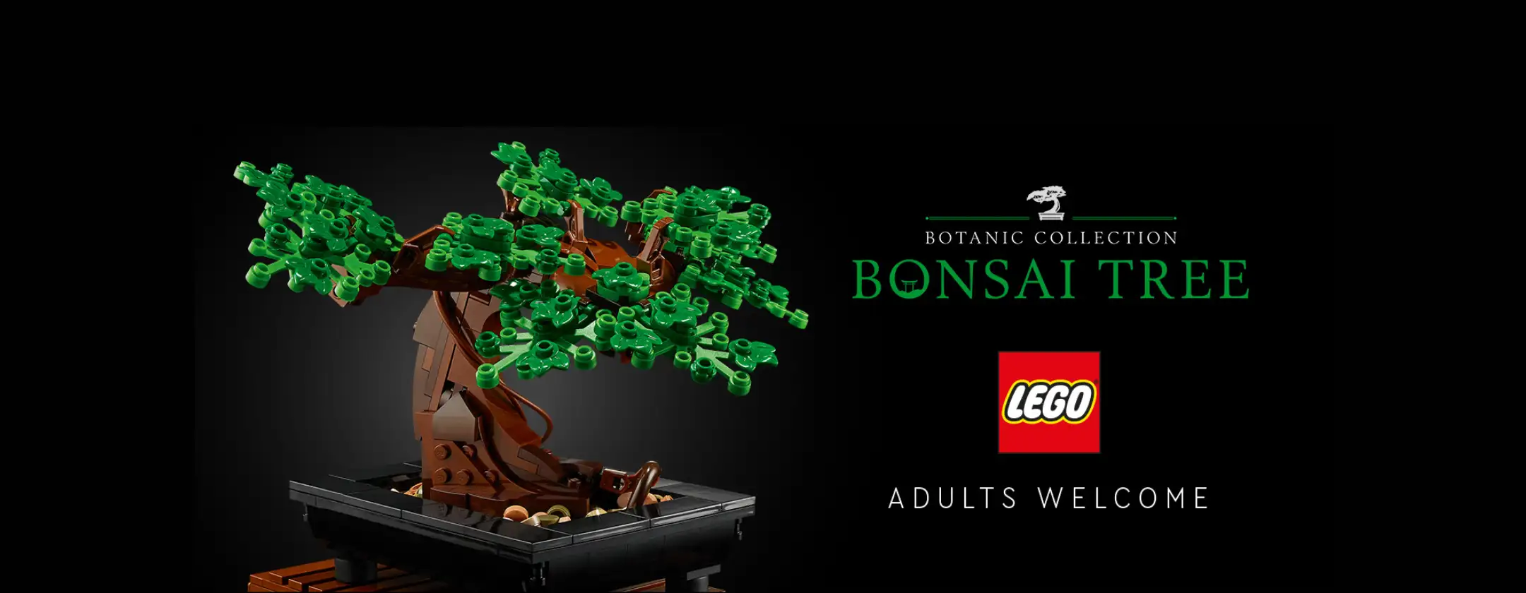Rendi casa bellissima con il LEGO Botanicals Albero Bonsai in offerta su Amazon