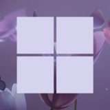 Problemi con KB5068861 su Windows 11: i tre errori