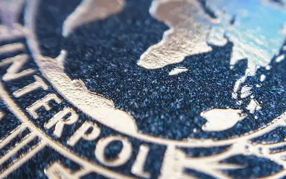 Operation Sentinel: 574 arresti per attacchi informatici