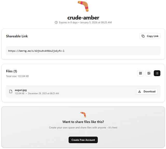L'interfaccia di Boomerang