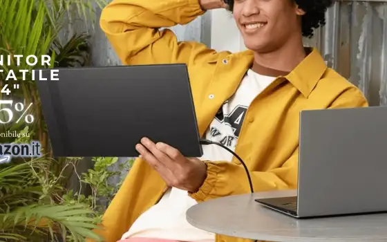 Questo monitor portatile 14