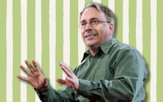 Linus Torvalds demolisce Elon Musk: è un incompetente