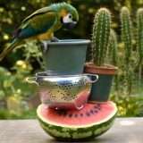 Gen-4.5 di Runway genera video realistici da ingannare chiunque