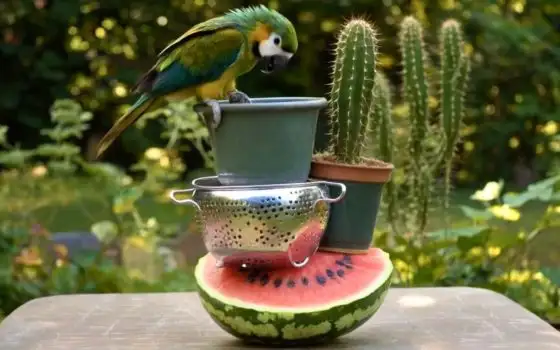 Gen-4.5 di Runway genera video realistici da ingannare chiunque