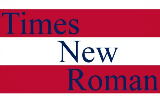 USA tornano al Times New Roman: sì al decoro, no alla diversità