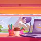 Tutto per ordinare casa e scrivania a pochissimi euro su Amazon Haul