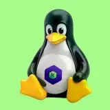 Linux 6.19 in ritardo: Torvalds preannuncia probabile RC8 extra