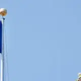 Tre CEO condannano la violenza dell'ICE, ma lodano Trump