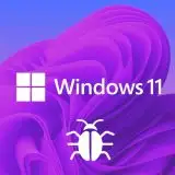 Windows 11, bug colpisce Blocco Note, Strumento di cattura
