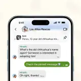 Signal, si possono fissare i messaggi in alto come su WhatsApp
