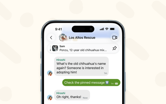 Signal, si possono fissare i messaggi in alto come su WhatsApp