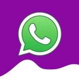 WhatsApp, bug risolto: ci voleva lo scandalo pubblico