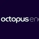 Luce e gas a prezzo bloccato anche nel 2026 con la promo Octopus Energy