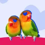 Passa a NeN e blocca il prezzo della luce fino al 2036