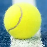 Come vedere Sinner-Djokovic in streaming gratis