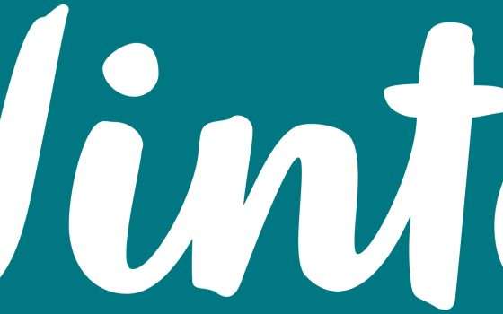 Vinted, problema con i pagamenti: cosa succede?