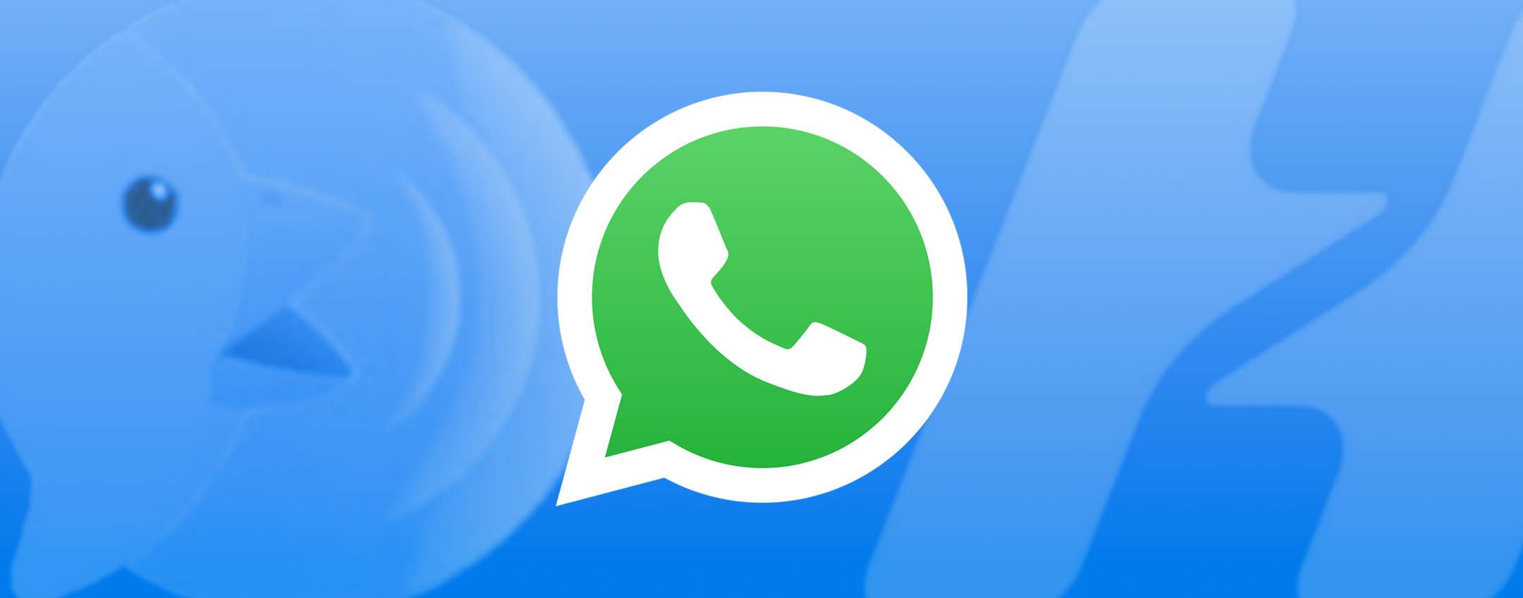 WhatsApp, BirdyChat, Haiket