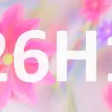 Windows 11 26H1 solo su PC con Snapdragon X2