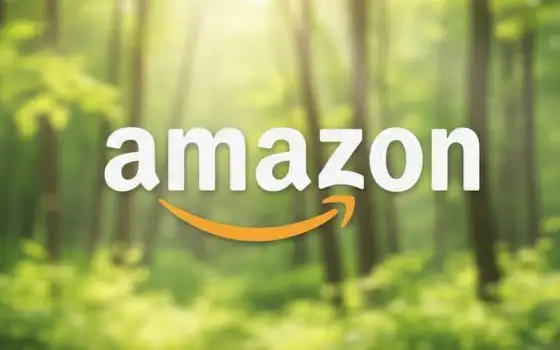 Controllo lavoratori: ispezioni nei centri logistici Amazon