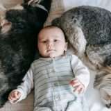 Engie Energia PuntoFisso: ora puoi scegliere la tariffa luce e gas a 12 o 24 mesi