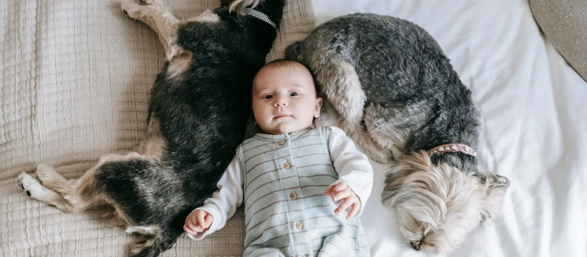 Energia PuntoFisso 12 o 24 mesi offerta