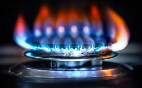 Octopus: prezzo bloccato per luce e gas per 12 mesi e il passaggio richiede 2 minuti