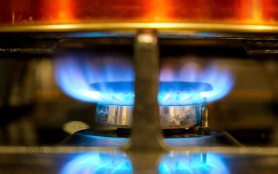 Octopus Energy: ecco il prezzo bloccato contro i rincari su luce e gas