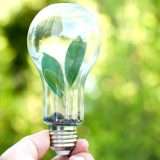 Luce a 0,10€ e Gas a 0,36€: l'incredibile tariffa fissa di Octopus